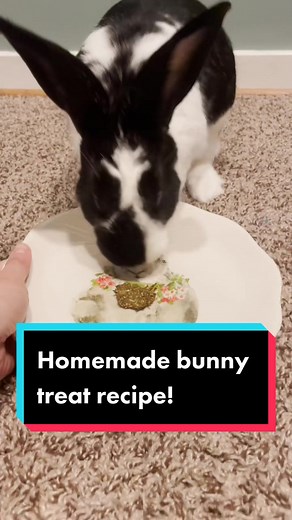Homemade Bunny Treat Recipe! Learn How to Make Rabbit Treats