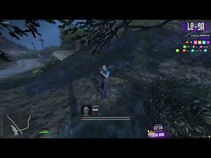 FiveM Script KillCam | Made by Zoygkos