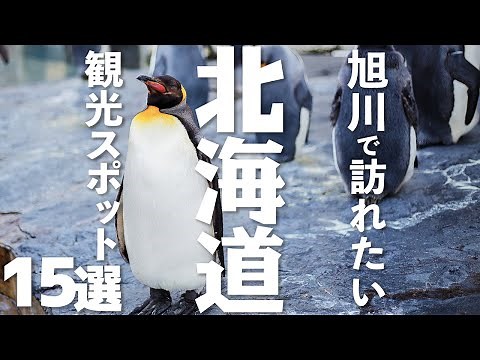 【北海道 観光】 旭川で訪れたい観光スポット15選
