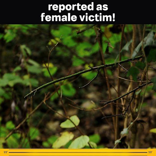 Naked Body Of Woman Found! #CrimeUpClose | Crime Up Close