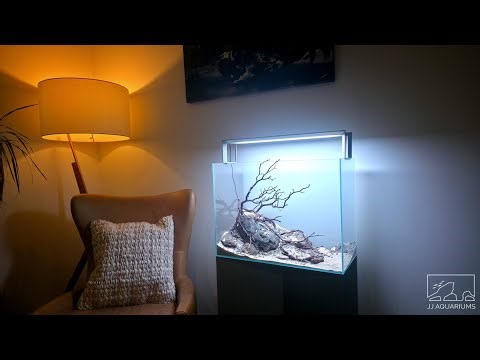 Scaping a Client’s ADA 60H Aquarium | Full Nature Aquarium Setup