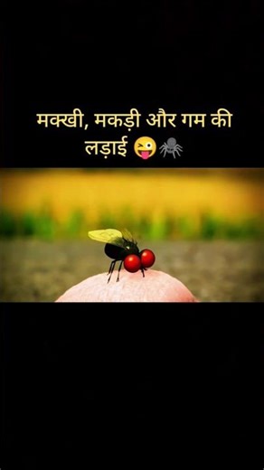 The Funniest Insect Chain Reaction 🕷️🐌