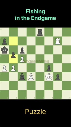 Fishing in the Endgame #chess #chessmaster #chesstricks #chessgame #chesscom #chesspuzzle #catur