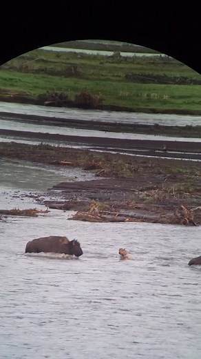 48 reactions | … Yes, The Struggle is Real, even in Nature!!!...