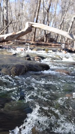 The green may be gone for the winter at Clear Creek, but the calming rhythm of the water flows year-round. Take 20 seconds, pause your scroll, and just listen… No crowds, no noise, just the steady sound of Clear Creek doing what it’s always done. Sometimes the best part of Camp Verde is simply slowing down. | Visit Camp Verde