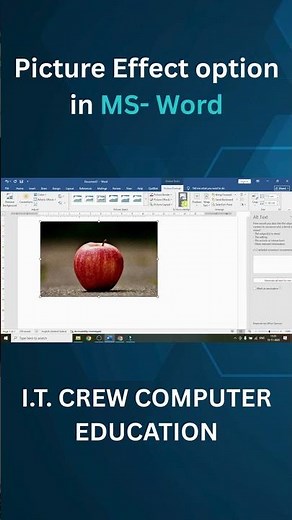 Alt Text Option in MS Word || MS Word Picture Alt Text Option