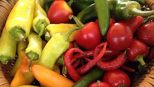 5 Tips & Tricks for Your Next Farmers Market Trip