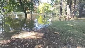 Radio Wrocław on Reels