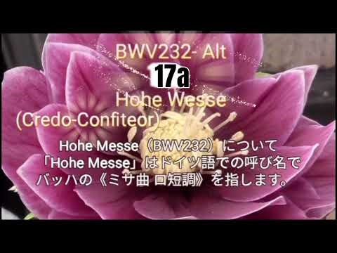 BWV232- 15,17a,17b Alt Chorus Practice With Machine Voice 逐語訳付き 合唱 アルト 音取り音取りと実践 バッハ ロ短調ミサ曲