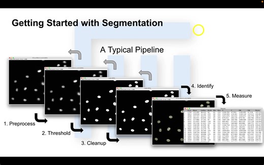 ImageJ | Fiji | 入门系列教程07 | 图像分割·其一 | Segmentation Part 1: Introduction