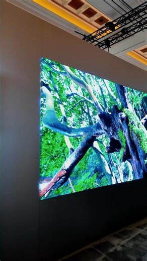 Samsung Micro LED no es solo una TV, es una experiencia totalmente distinta.