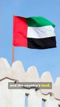 Flag History day 196 United Arab Emirates 🇦🇪 #funwithflags #countries #flags #uae #dubai