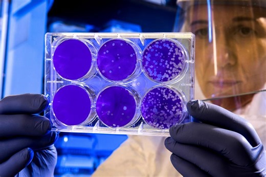 A Matter of Trust – Research Misconduct in Australia