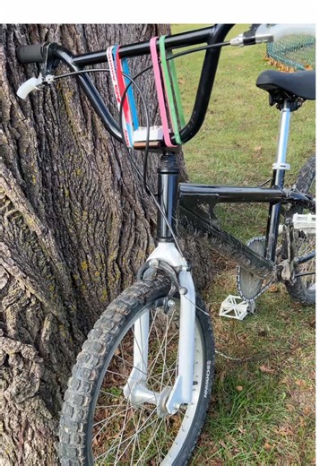 BMX on da tree #bikelife #fyp #viral