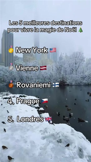 Les 5 Meilleures Destinations pour Vivre la Magie de Noël 🎄