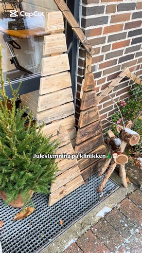 Så er det blevet december hos Tommerup Fysioterapi & Osteopati 💚🎄 | Tommerup Fysioterapi & Osteopati ApS