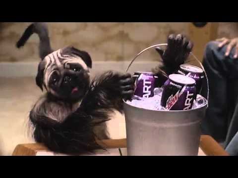 Pug monkey baby super bowl commercial 🙈