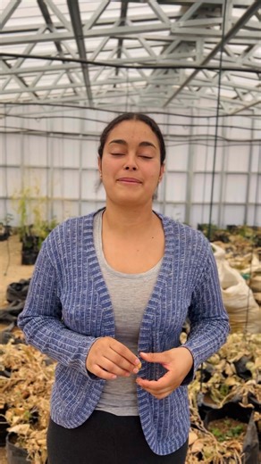 26K views · 353 reactions |  Exploring Sustainable Agriculture at...