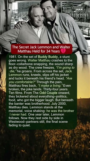 The Secret Jack Lemmon and Walter Matthau Held for 34 Years 💔