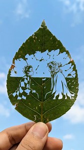 #anime | Cyborg.digitalart