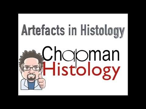 3 Min Histology Artefacts In Histology