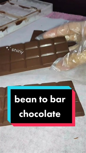 Bean to Bar Chocolate Making Process