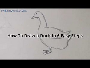 How to Draw a Duck In 6 EASY Steps - GREAT for Kids & Beginners