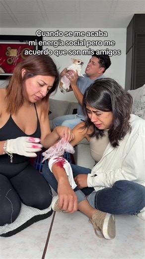 Soy antisocial y qué? #humor #perros #perritostiktok #fakeblood | perritos