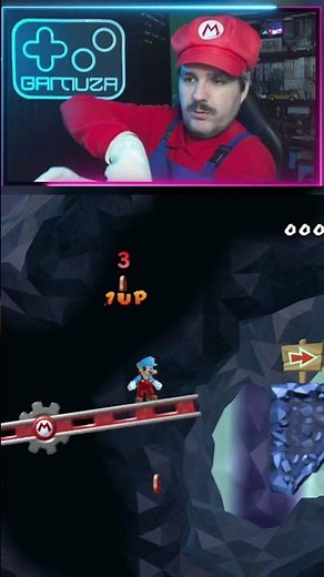 Using the Wii Remote in New Super Mario Bros. Wii