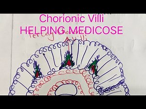 Development of Chorionic Villi | 3rd week of Development | Part 5 of 5