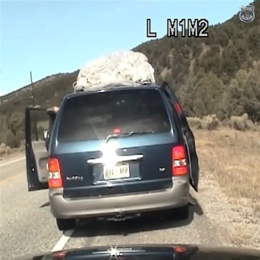 6.1M views · 56K reactions | New Mexico state police traffic stop and ensuing chase | Body Cam Watch | Facebook