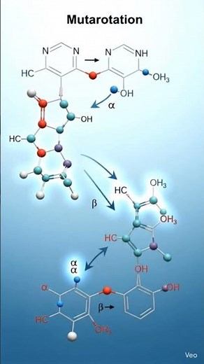 Vigyan Setu academy || Understand Mutarotation in Glucose.