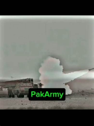 Pakistani Army Status Updates and Attitude