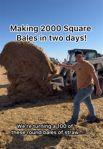 Making 2000 square bales out of junk round bales! #farmlife #agriculture #farm #countrylife #farmer