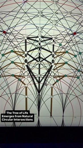 The Tree of Life Emerges From Number