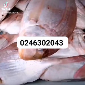 Weekend Is Here Again And It's Free Delivery Within Accra And it environs with any purchase above 200ghc plus other amazing discounts. WhatsApp or Call 0246302043 for delivery arrangement and Further enquiry Nationwide. Fresh Outta Sea From Local Ghanaian Fishermen not Frozen Imported | Emjay Sea Foods | Facebook