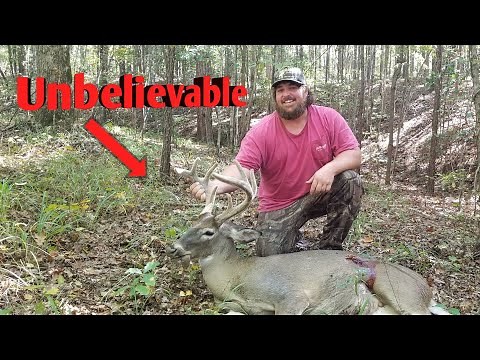 2021/2022 Deer Season: Alabama velvet 8 point in late October