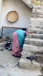 261K views · 2.3K reactions | Village Life Routine | My Blog | Facebook