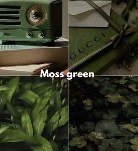 The most beautiful short ever 🌿🍃 #blowup #aestheic #fypviralシ