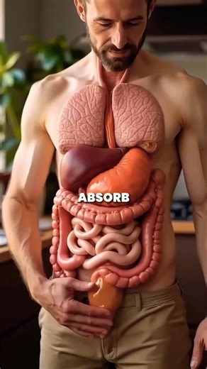 Facing protein absorption problem🤯 watch ✅…#shorts #youtubeshorts #fitness #health