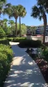 2.9K views · 132 reactions | Your destination awaits. ☀️ | Sheraton Vistana Villages | Facebook