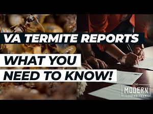 VA Termite Report- Termite Inspection Explained