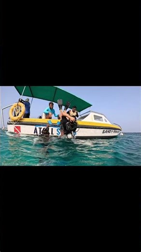 Do or Die with regret #shortvideo #scuba #travel