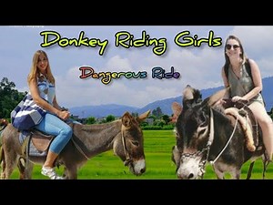 Adventurous Girls Riding Donkeys || Fun-filled Journey. 🐴 #adventure ‪@BKOfficialVlog‬