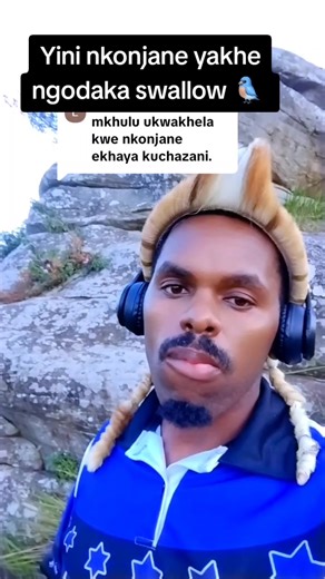 Interpreting Omens: Birds and Their Meanings