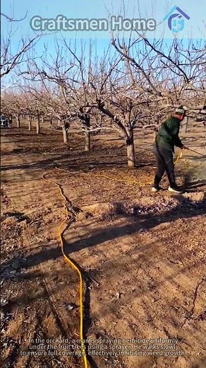 Spraying Herbicide Uniformly in the Orchard