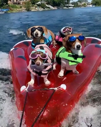 Jennifer Garner |  . (: @mylesandwillows) | Instagram