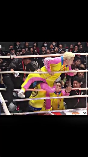 Gabi Garcia (Brazil) vs Barbara Nepomuceno (Brazi)#garcia#nepomuxeno#foryou #fyp#boxing