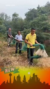 Ở đây https://s.shopee.vn/8KirK93YUu | Yêu Phú Thọ