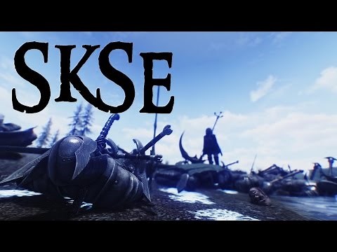How to change ur settings for skse through Skyrim Mod Orginizer